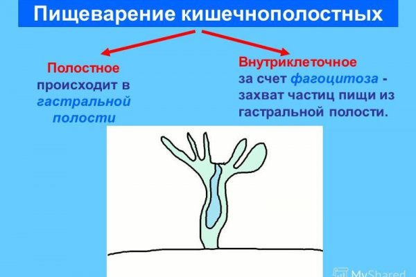 Купить гашиш тг